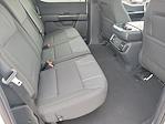 2025 Ford F-150 SuperCrew Cab 4x2 Pickup for sale #00050728 - photo 19