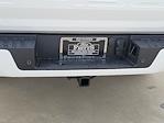 2025 Ford F-150 SuperCrew Cab 4x2 Pickup for sale #00050728 - photo 23