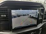 2025 Ford F-150 SuperCrew Cab 4x2 Pickup for sale #00050729 - photo 12
