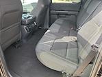 2025 Ford F-150 SuperCrew Cab 4x2 Pickup for sale #00050729 - photo 15