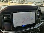 2025 Ford F-150 SuperCrew Cab 4x2 Pickup for sale #00050730 - photo 10