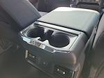 2025 Ford F-150 SuperCrew Cab 4x4 Pickup for sale #00050731 - photo 20