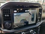 2025 Ford F-150 SuperCrew Cab 4x4 Pickup for sale #00050732 - photo 11