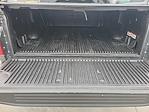 2020 Ford F-150 SuperCrew Cab 4x4 Pickup for sale #00777827 - photo 17