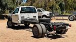New 2024 Ford F-600 XL Regular Cab Cab Chassis for sale #00F04513 - photo 4