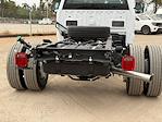 New 2024 Ford F-550 Regular Cab Cab Chassis for sale #00F04646 - photo 17