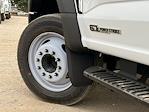 2024 Ford F-550 Regular Cab DRW 4x2 Cab Chassis for sale #00F04646 - photo 19