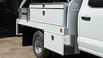 2025 Ford F-350 Crew Cab DRW 4x4 Cab Chassis for sale #00F05679 - photo 3