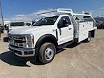 2025 Ford F-550 Regular Cab DRW 4x2 Cab Chassis for sale #00F05686 - photo 1