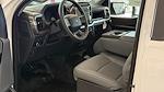 New 2025 Ford F-150 XL Regular Cab for sale #00F05796 - photo 5
