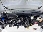 Used 2023 Ford Transit 250 Low Roof Empty Cargo Van for sale #DB89764 - photo 11