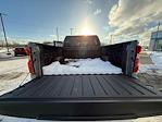 2025 Chevrolet Silverado 1500 Crew Cab 4WD Pickup for sale #E24400 - photo 28