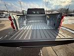 2025 Chevrolet Silverado 1500 Crew Cab 4WD Pickup for sale #E24418 - photo 16