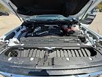 2025 GMC Sierra 3500 Crew Cab 4WD Pickup for sale #E24545 - photo 31