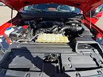 Used 2019 Ford F-150 XL SuperCrew Cab for sale #EG14647 - photo 13