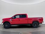 2020 Ford F-250 Crew Cab 4WD Pickup for sale #C201533 - photo 3