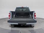 Used 2022 Ford F-150 SuperCrew Cab for sale #C222593L - photo 21
