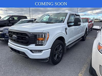 2023 Ford F-150 SuperCrew Cab 4WD Pickup for sale #C232141X - photo 1