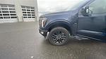 2024 Ford F-150 SuperCrew Cab 4WD Pickup for sale #C241021X - photo 24