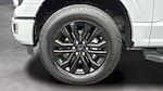 2024 Ford F-150 SuperCrew Cab 4WD Pickup for sale #C241333X - photo 22
