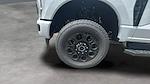 New 2025 Ford F-250 Crew Cab 4WD Pickup for sale #C251052 - photo 17