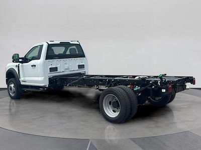 2025 Ford F-450 Regular Cab DRW RWD Cab Chassis for sale #C251055 - photo 2