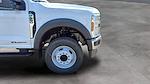 2025 Ford F-600 Regular Cab DRW RWD Cab Chassis for sale #C251241 - photo 21
