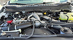 2025 Ford F-600 Regular Cab DRW RWD Cab Chassis for sale #C251241 - photo 25