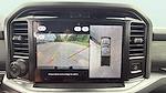 2025 Ford F-150 SuperCrew Cab 4WD Pickup for sale #C251305 - photo 22