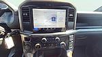 New 2025 Ford F-150 STX SuperCrew Cab 4WD Pickup for sale #C251368 - photo 12