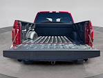 New 2025 Ford F-150 STX SuperCrew Cab 4WD Pickup for sale #C251368 - photo 19