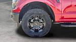 New 2025 Ford F-150 STX SuperCrew Cab 4WD Pickup for sale #C251368 - photo 21