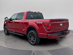 New 2025 Ford F-150 XLT SuperCrew Cab 4WD Pickup for sale #C251410 - photo 3