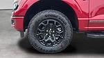New 2025 Ford F-150 XLT SuperCrew Cab 4WD Pickup for sale #C251410 - photo 28