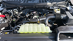 New 2025 Ford F-150 STX SuperCrew Cab 4WD Pickup for sale #C251494 - photo 25