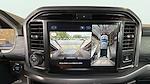 2025 Ford F-150 SuperCrew Cab 4WD Pickup for sale #C251519 - photo 17