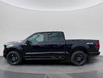 New 2025 Ford F-150 STX SuperCrew Cab 4WD Pickup for sale #C251526 - photo 3