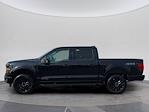 New 2025 Ford F-150 XLT SuperCrew Cab 4WD Pickup for sale #C251545 - photo 3