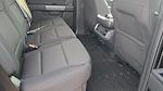 New 2025 Ford F-150 XLT SuperCrew Cab 4WD Pickup for sale #C251545 - photo 26