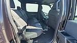 New 2025 Ford F-150 STX SuperCrew Cab 4WD Pickup for sale #C251563 - photo 17