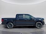 New 2025 Ford F-150 STX SuperCrew Cab 4WD Pickup for sale #C251563 - photo 7