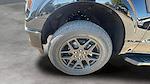 New 2025 Ford F-150 STX SuperCrew Cab 4WD Pickup for sale #C251566 - photo 21