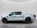 New 2025 Ford F-150 STX SuperCrew Cab 4WD Pickup for sale #C251639 - photo 3