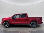 New 2025 Ford F-150 STX SuperCrew Cab 4WD Pickup for sale #C251670 - photo 3