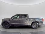 New 2025 Ford F-150 STX SuperCrew Cab 4WD Pickup for sale #C251671 - photo 3