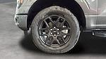 New 2025 Ford F-150 STX SuperCrew Cab 4WD Pickup for sale #C251671 - photo 34