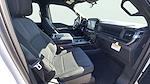 New 2025 Ford F-150 STX SuperCrew Cab 4WD Pickup for sale #C251683 - photo 17
