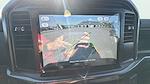 New 2025 Ford F-150 STX SuperCrew Cab 4WD Pickup for sale #C251683 - photo 25
