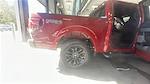 New 2025 Ford F-150 XLT SuperCrew Cab 4WD Pickup for sale #C251699 - photo 18