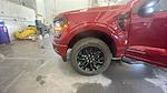 New 2025 Ford F-150 XLT SuperCrew Cab 4WD Pickup for sale #C251699 - photo 19